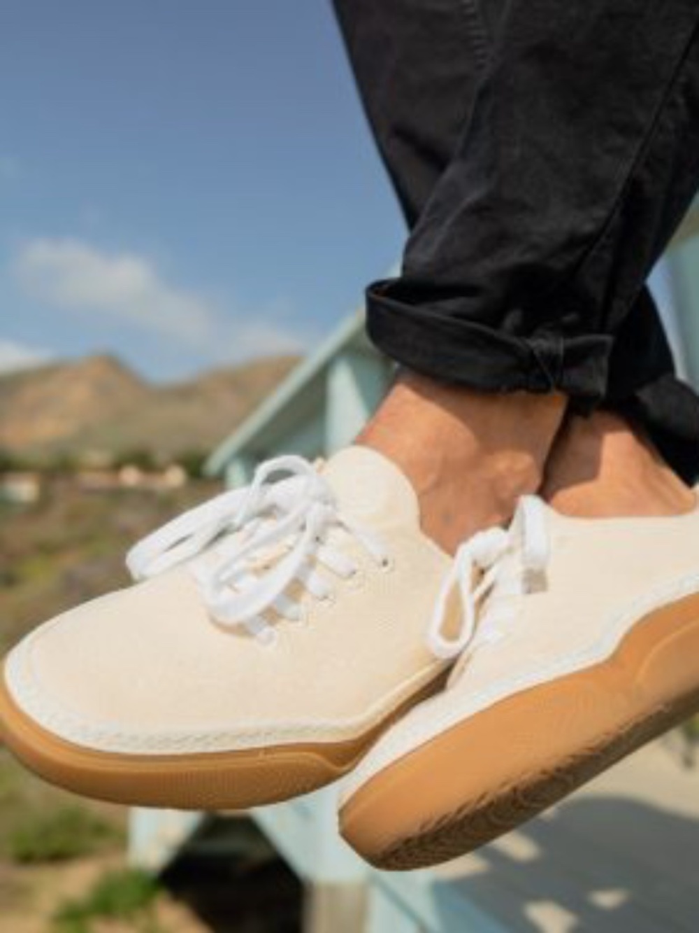 Vans Circle Vee